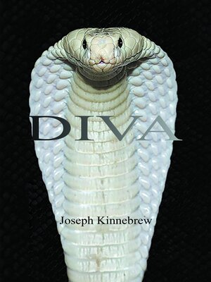 cover image of Diva